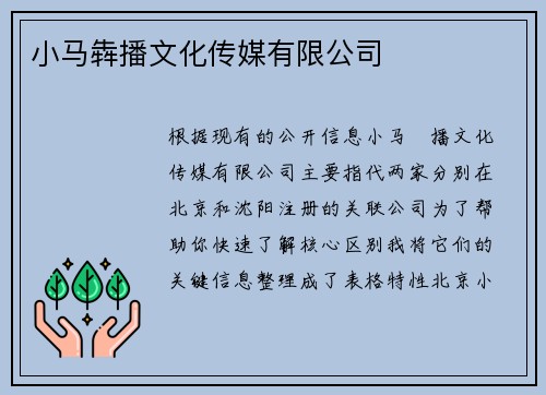 小马犇播文化传媒有限公司
